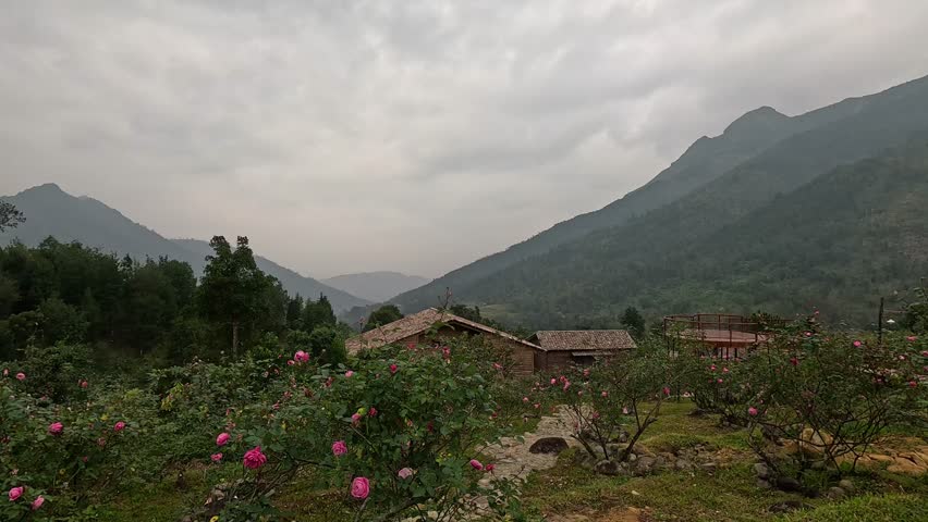 Mountain village landscape in northern Vietnam, featuring traditional wooden houses surrounded by blooming flower gardens and lush greenery