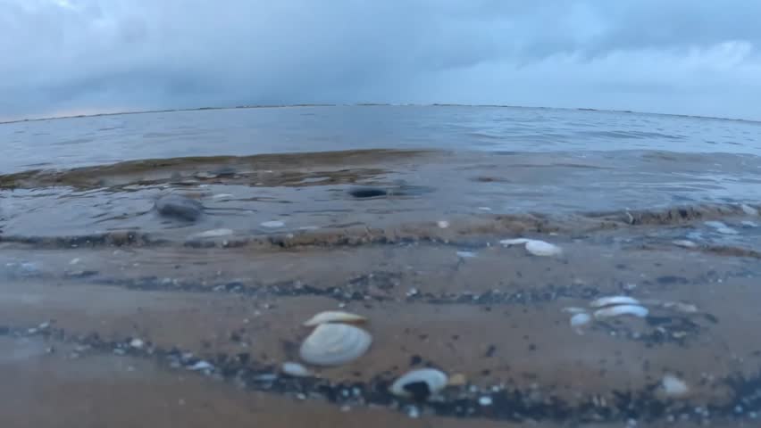 Low-angle shot of gentle waves washing over shells on a calm shoreline, capturing soft coastal movement, muted light, and natural beach textures at the water’s edge.