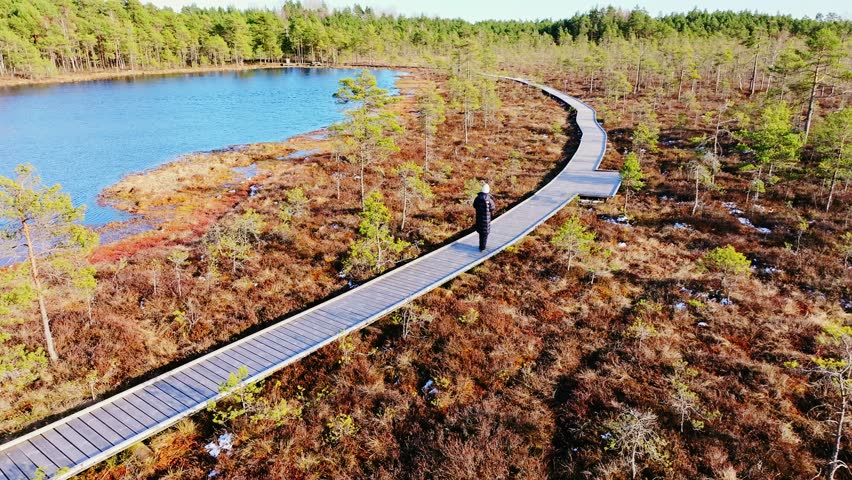 Woman explores bright marshland trail near lake under crisp spring sun