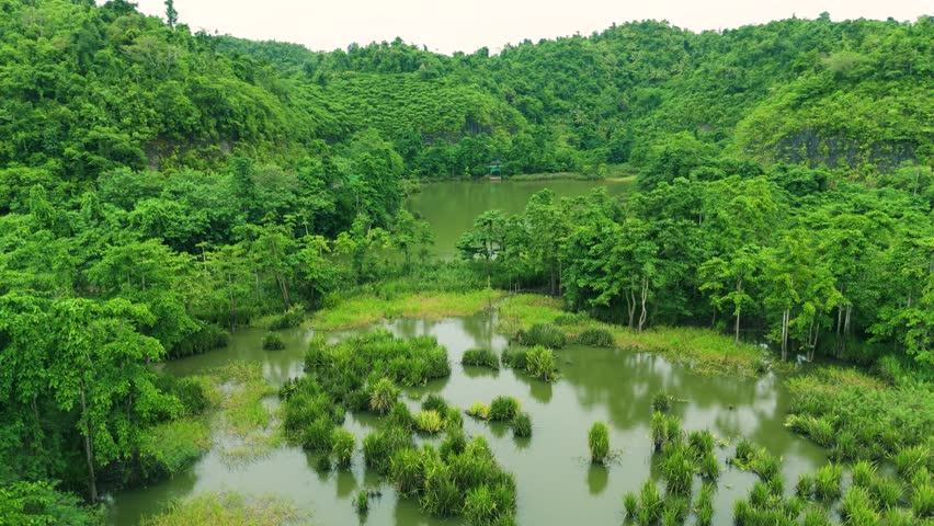 Aerial view of a green lake surrounded by dense tropical rainforest and forested hills with grassy wetlands and a distant gazebo in Sabah, Malaysia.