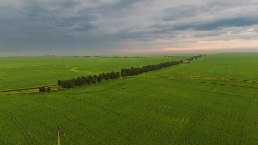 colorful clouds before a thunderstorm in the sky over a green field in summer, bird