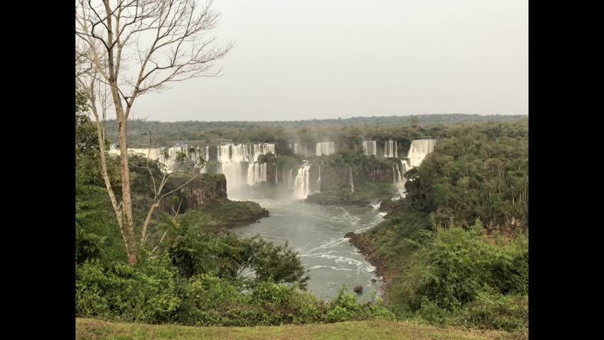 Multiple waterfalls cascade into the river surrounding by lush greenery rainforest at Iguazu Falls, Brazil.