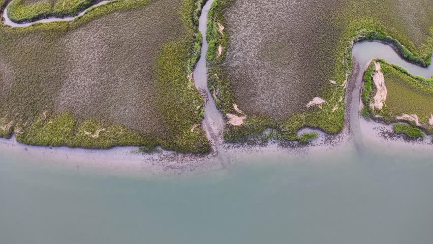 Aerial view of coastal marshland with winding tidal channels and sandy shoreline along the edge of calm water