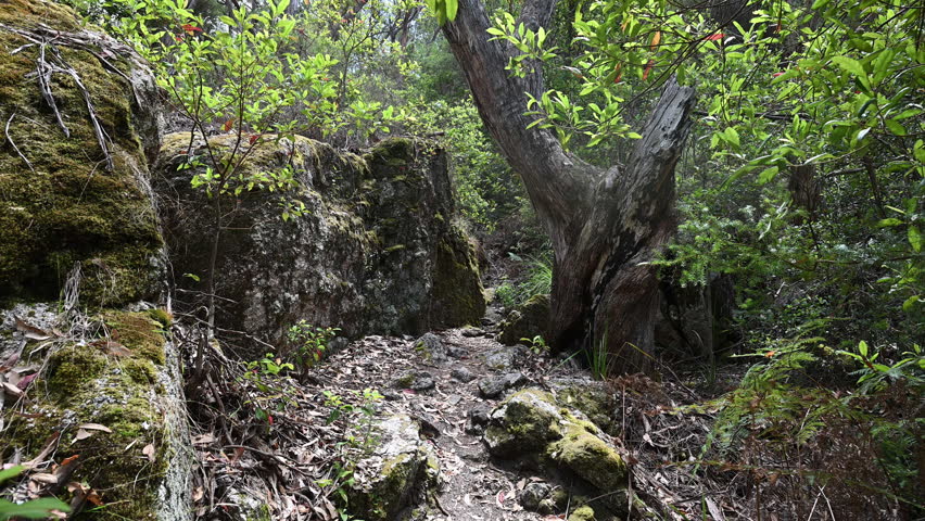 beautiful landscape of Wilsons promontory, the southern most point of mainland Australia in Victoria, a popular travel destination for hiking and other outdoor activities.