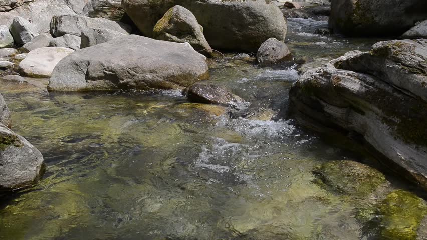 small waterfall in the forest	

