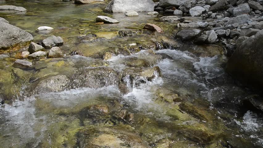 small waterfall in the forest	
