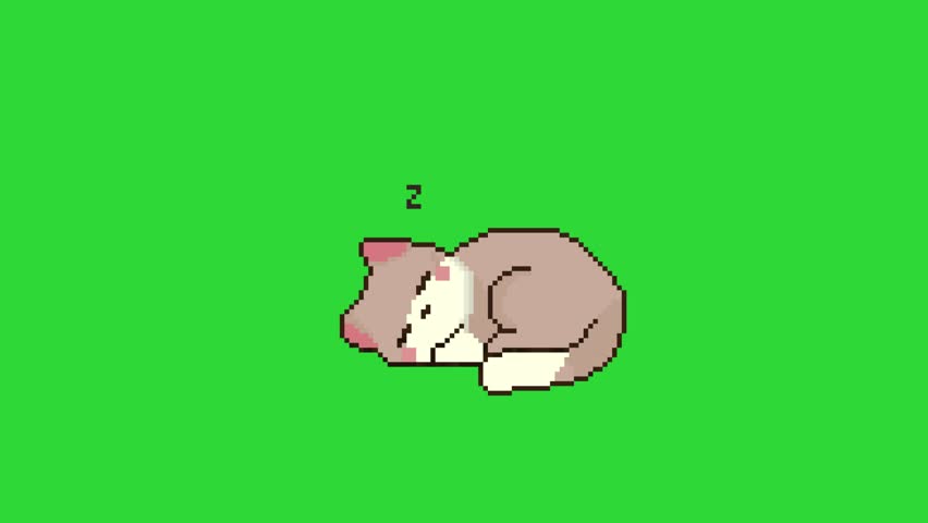 sleeping cat in pixel art style with green screen background