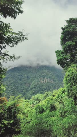 Scenic Green Hills Landscape Under Open Sky, Peaceful Mountain Nature View with Fresh Air, Natural Light, and Calm Outdoor Atmosphere
