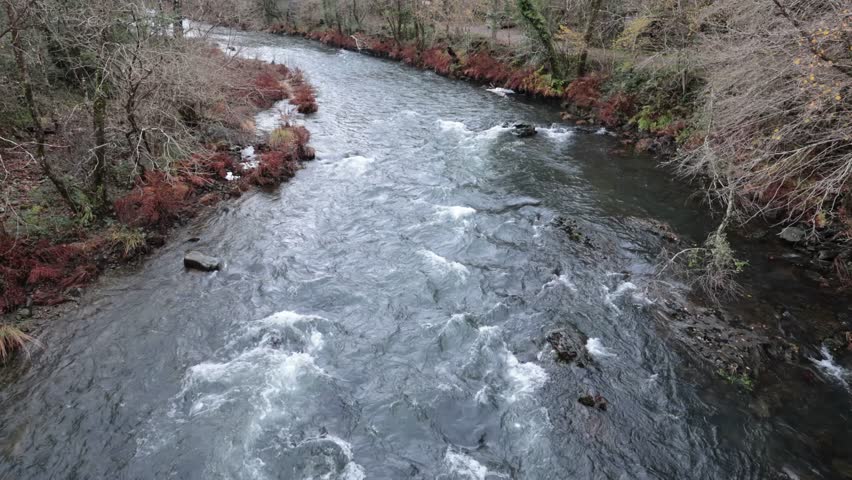 Forest stream flowing over mossy rocks in autumn