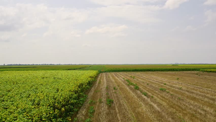Exploration of farmland in Kikinda, Serbia shows contrasting landscapes and agricultural activities throughout the seasons