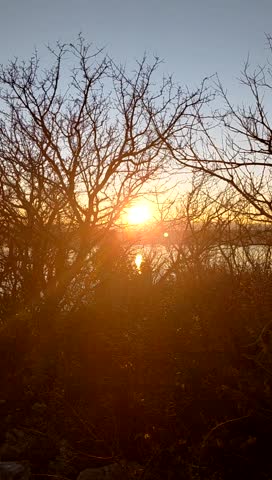 ​Golden sun setting over the Adriatic Sea, viewed through silhouetted winter branches in Crikvenica, Croatia. Warm lens flares and shimmering water create a peaceful, atmospheric Mediterranean evening
