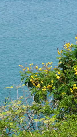 Lady Buddha Danang Vietnam Sightseeing Temples and Pagodas