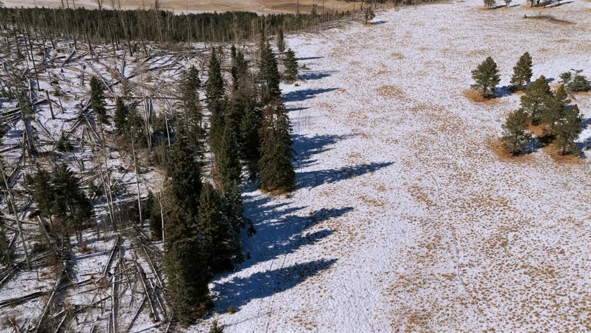 Dynamic drone boom-up shot rising from the snowy forest floor to reveal a majestic view of the Valles Caldera. The camera move transitions from dense pines to an expansive volcanic valley.