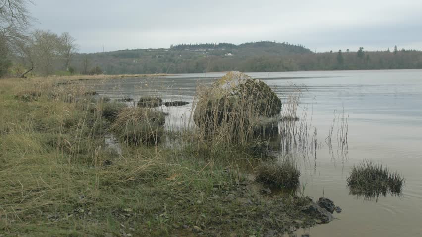 Peaceful lakeshore with grass and moss-covered rock on cloudy day