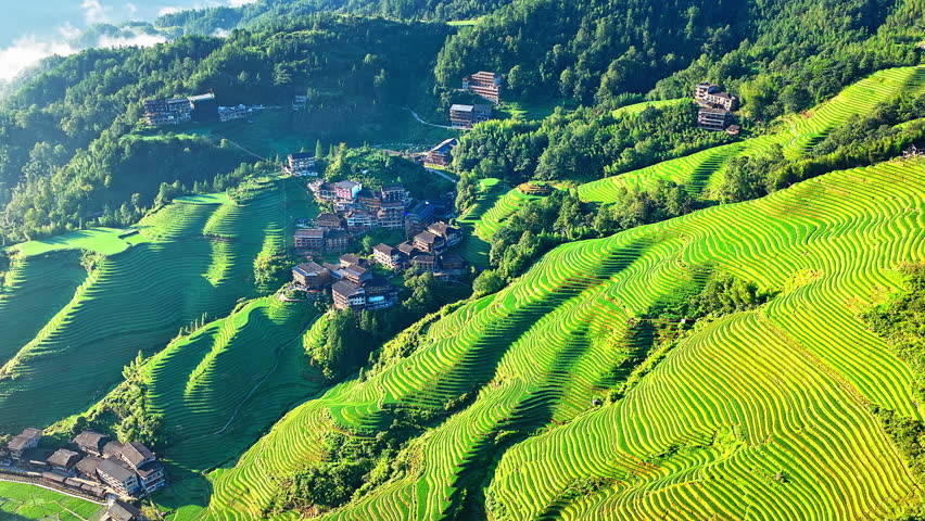 Aerial shot of the spectacular Longji Terraced Fields and village landscape in Guilin, China. Beautiful agricultural and nature background.