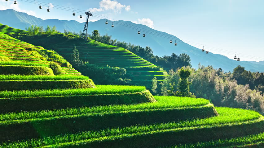 Aerial shot of beautiful green terraced rice fields and mountain landscape with cable car line in Guilin, China.