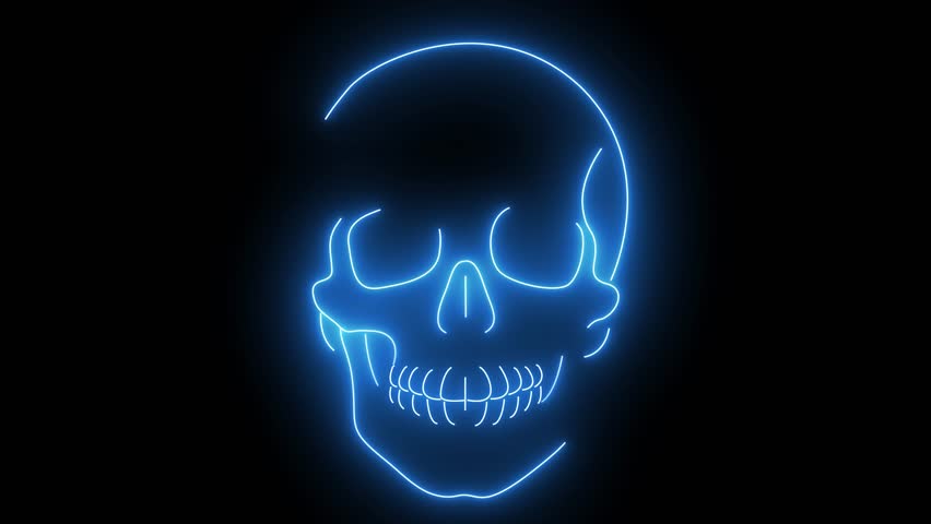 Human Skull Front View Neon Blue Glowing Line Art Animation