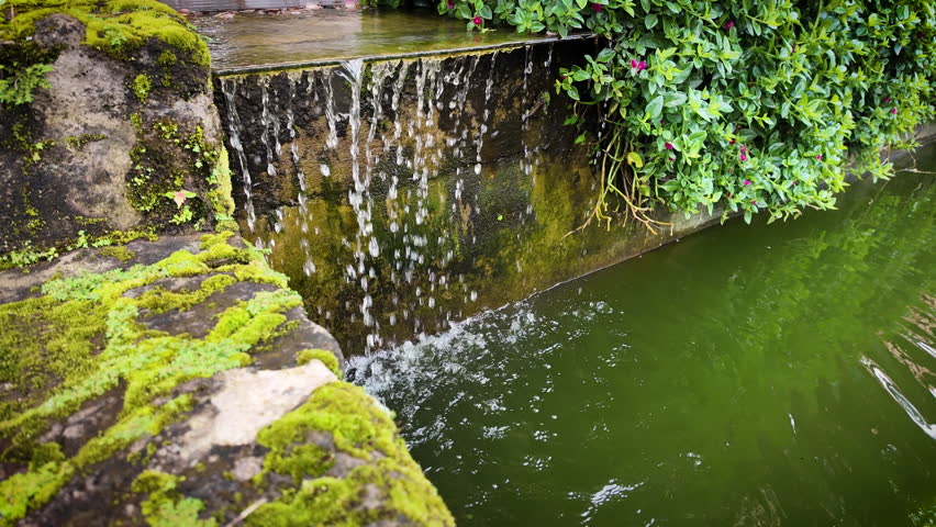 Mossy stone edge beside a small waterfall cascading into a green pond surrounded by lush vegetation in a natural setting.