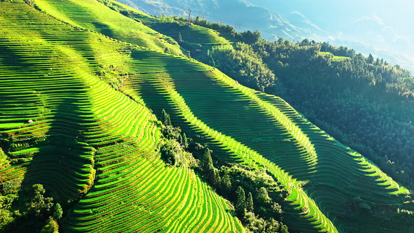 Aerial shot of spectacular green terraced rice fields on mountain slopes. Famous Longji Terraced Fields natural landscape in Guilin, China. 