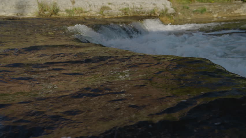 Salmon leap upstream in Ontario, captured in slow motion