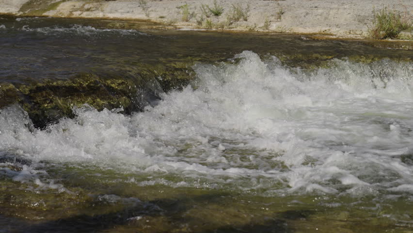 Salmon struggle in river rapids, slow motion capture, Ontario, nature