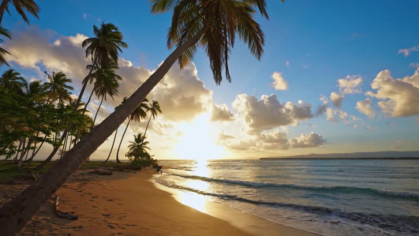 Gently swaying palm trees against a tropical sunset. Waves lap in the sunlight against the yellow sand. The sky is painted in stunning shades of golden yellow. A tropical sunset with palm trees.