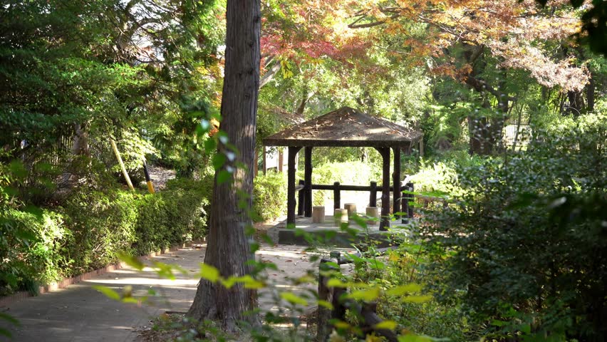 Japanese Pavilion in Obu Okura Park (Aichi, Prefecture, Japan)