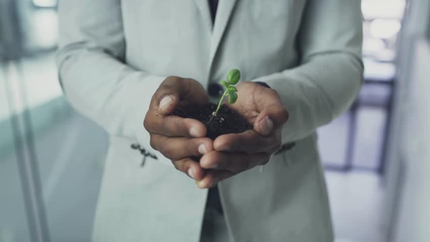 Plants in the hands of business people for support, environment, collaborating, growing, and investing in people and the soil for the future. Businessman