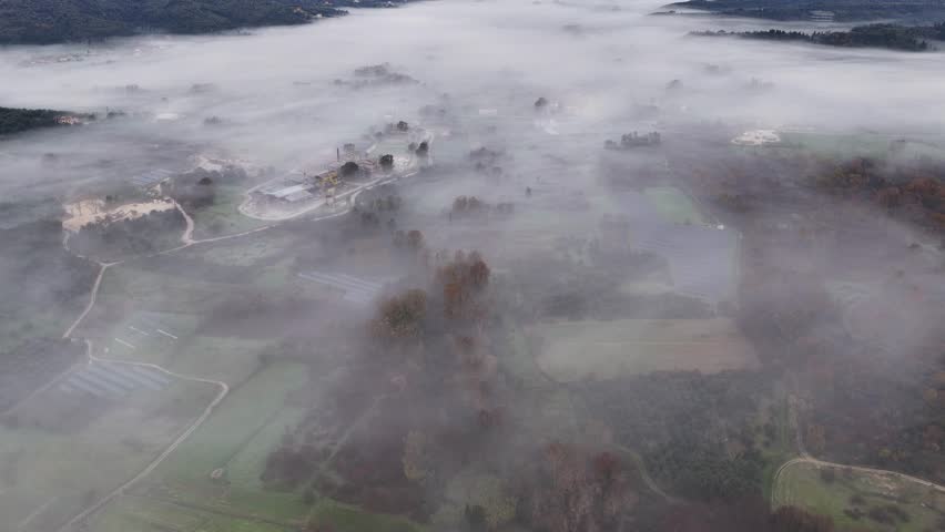 Telephoto aerial view of silhouette cypress trees rising from a mystical thick fog layer in a rural landscape resembling a painting