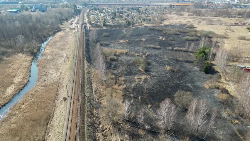 Regenerating Burnt Field in the Early Spring Season