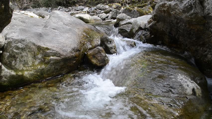 small waterfall in the forest	
