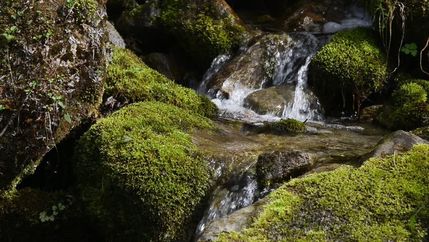 small waterfall in the forest	
