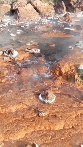 Steam rises from a natural hot spring with green hills and a clear sky in the background.