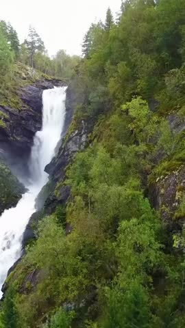 Powerful white water rushes down dark rugged cliffs enveloped by dense green foliage creating a dramatic, serene natural backdrop.