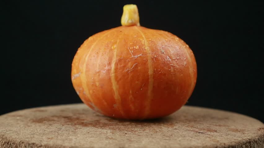 Close up of pumpkins turning on a black background. copy space