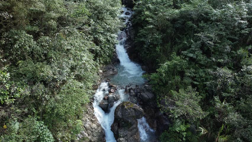 Crystal clear water flows through a rocky mountain stream, surrounded by lush green trees along its banks. This scene captures the natural beauty of the Papuan jungle, Indonesia.