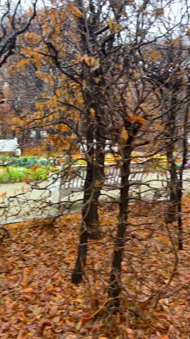 A stroll on a cloudy day through the manicured garden path lined with benches leading to Royal Castle in Warsaw, Poland. Ogrody Zamkowe