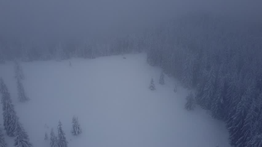 Cinematic Aerial Footage of Winter Forest Covered in Snow and Mist