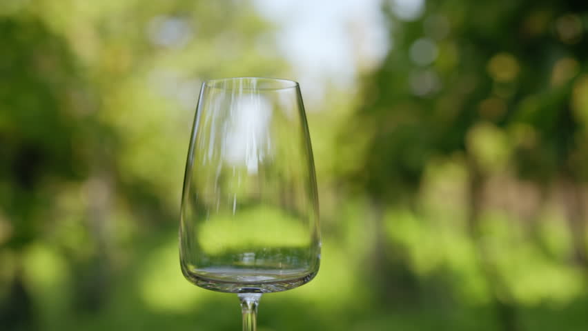Pouring white wine into a glass outside in the vineyard