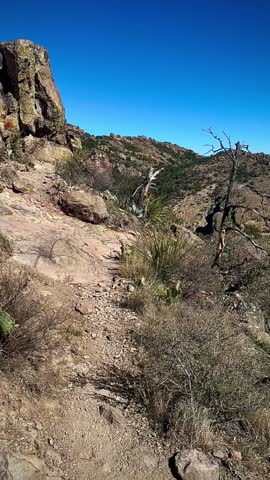 Approaching the Summit of the Lost Mine Trail (Big Bend National Park, Texas, USA)
