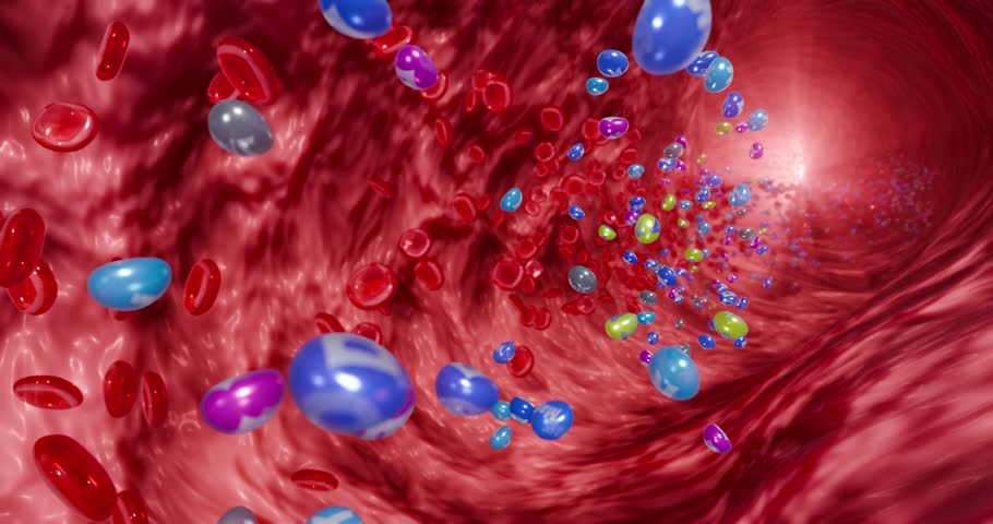 Nutritional supplement effect on circulation, vitamins and minerals enhancing blood composition and energy, 3D Rendering
