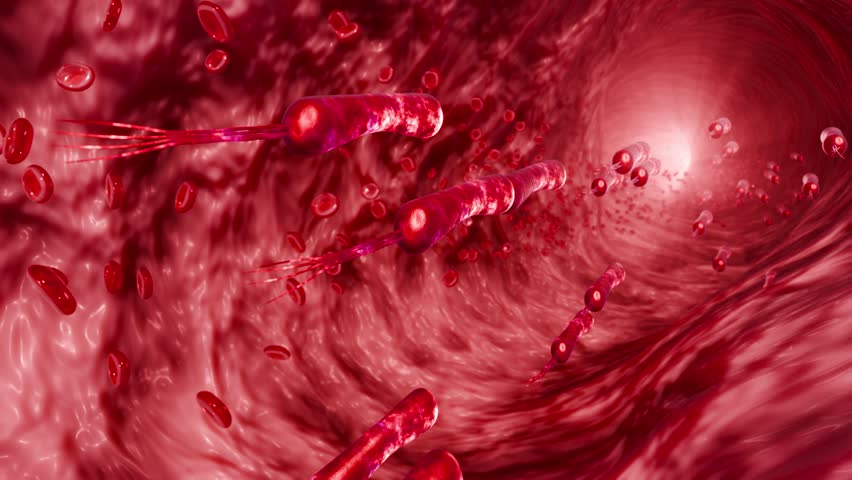 Helicobacter pylori gastric infection concept with harmful bacteria in stomach acid environment representing digestive disease and microbiology research 3D Rendering
