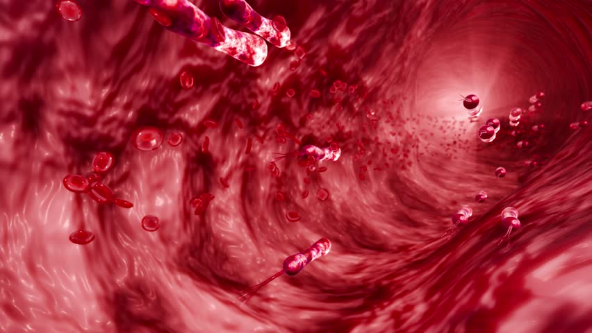 Helicobacter pylori gastric infection concept with harmful bacteria in stomach acid environment representing digestive disease and microbiology research 3D Rendering
