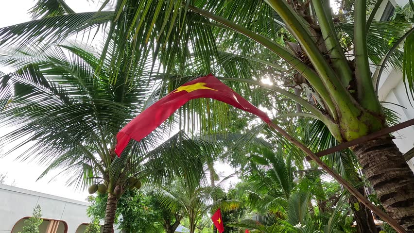 Vietnamese national flags hang between coconut palms at a tropical resort in Vietnam.
