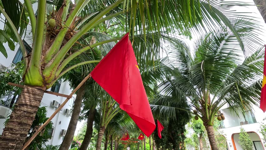 Vietnamese national flags hang between coconut palms at a tropical resort in Vietnam.