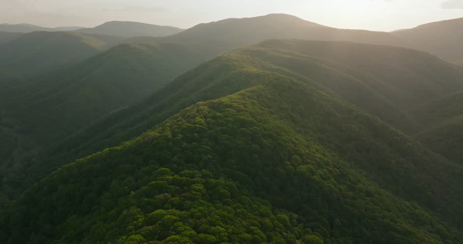 Lush green hills under soft light, West Virginia, serene and tranquil scene