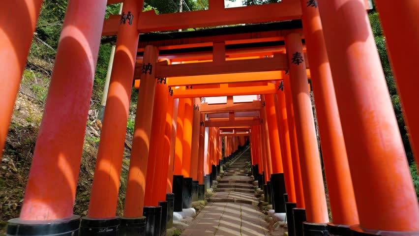 Forward moving shot along torii gates staircase at Fushimi Inari Shrine