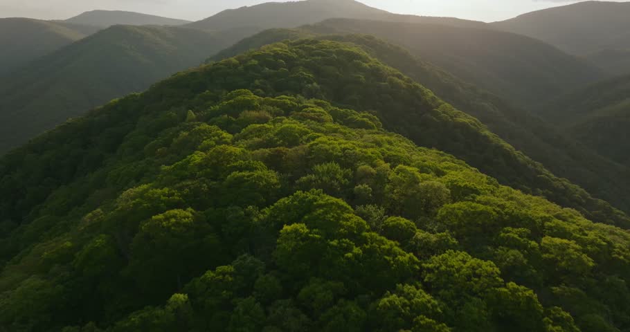Lush Appalachian mountains in West Virginia with serene atmosphere at sunset