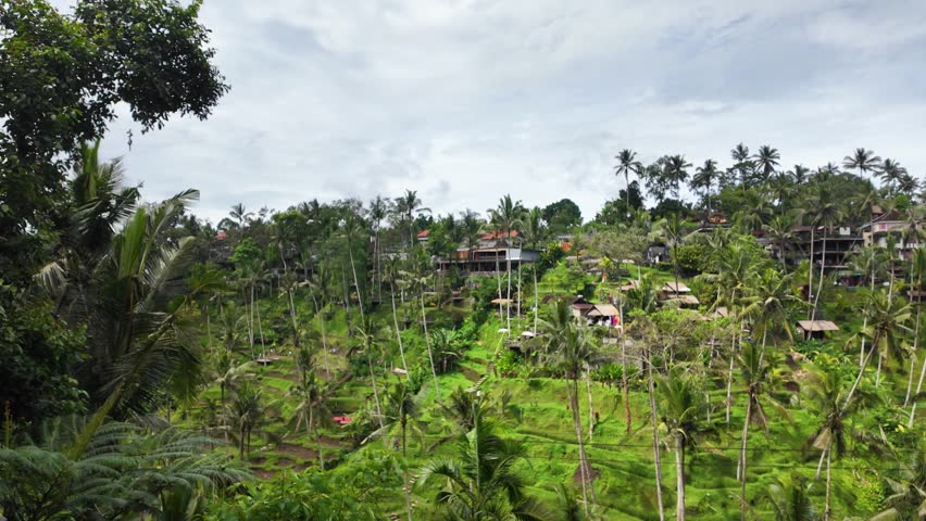 Woman in red swinging over Bali rice terrace, joyful slow motion