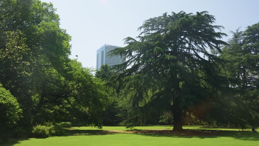 Peaceful Green Space in Shinjuku Garden, Tokyo Japan
